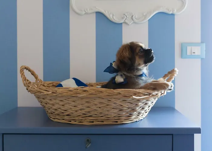 Jolie Риччоне